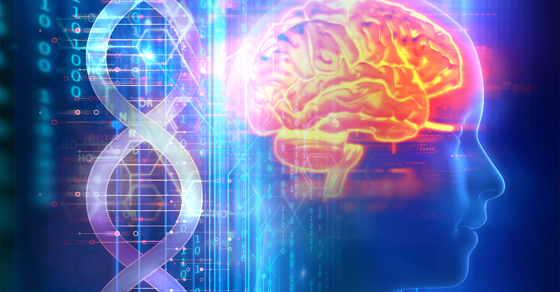 知性の進化を支えた「繊細な心」 〜 心の弱さの由来と恩恵を知ることの大切さ 〜